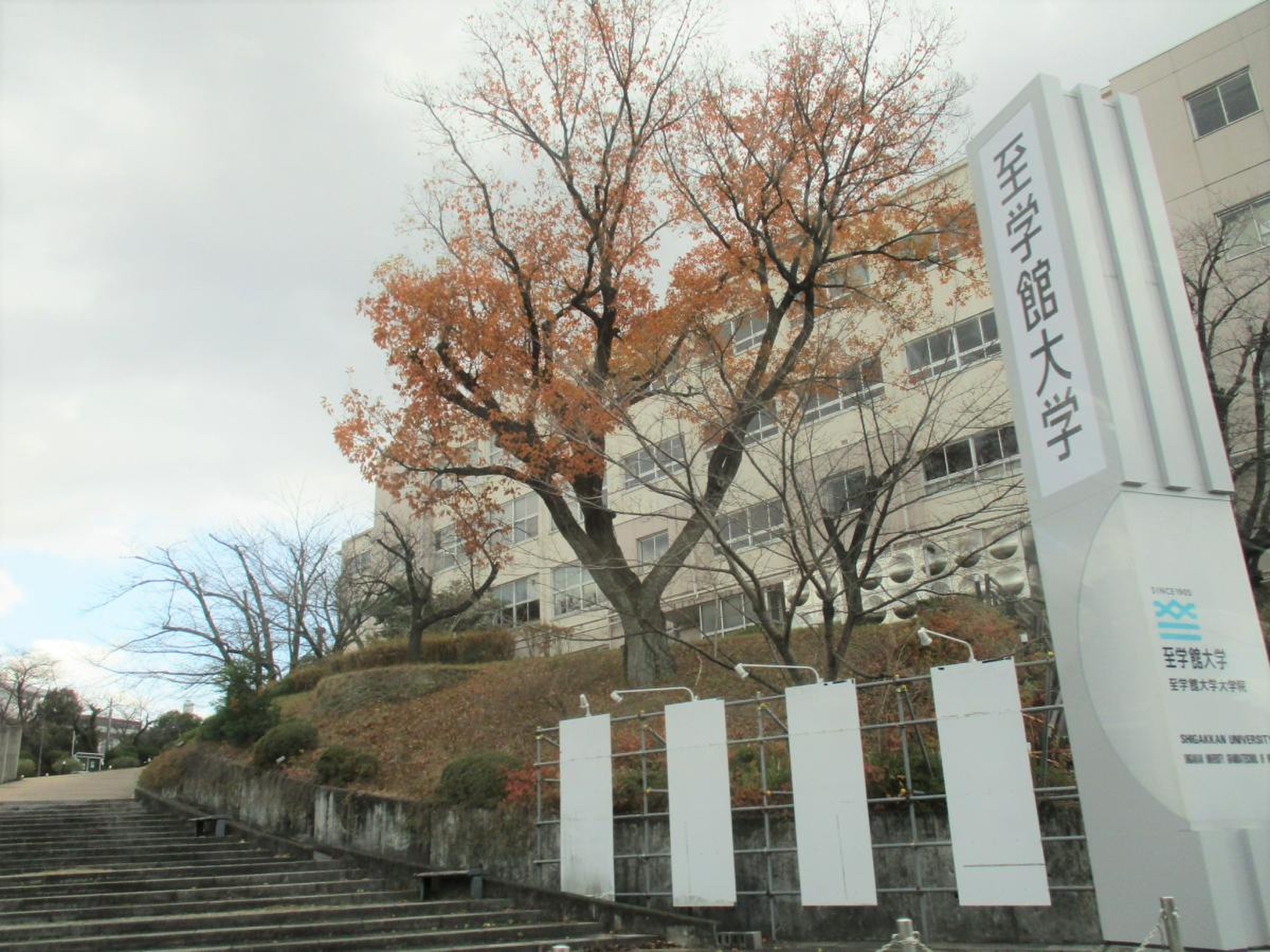 至 学 館 大学
