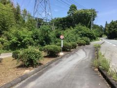 「記念碑前(甲佐町)」バス停留所