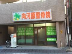 向河原整骨院
