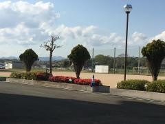 中番小学校