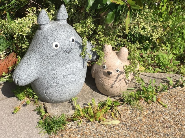 投稿写真5