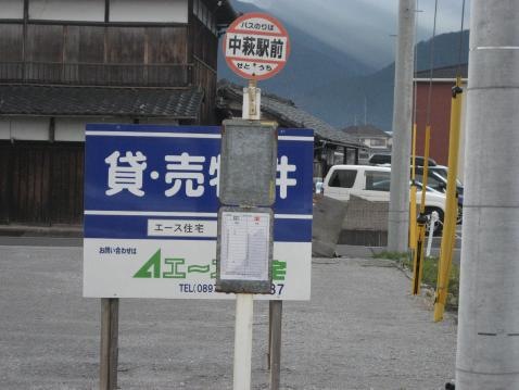 投稿写真5