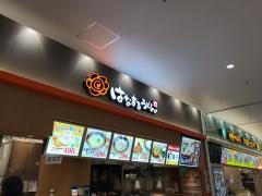 はなまるうどん　テラスモール松戸店
