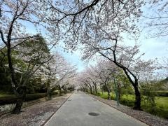 鏡野公園