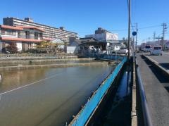 丸富錦鯉センター