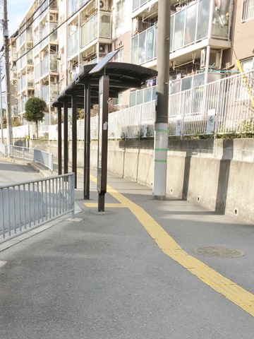 投稿写真1