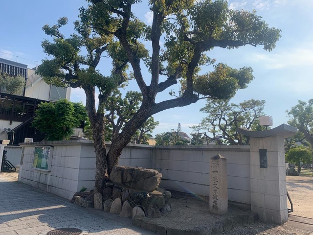 投稿写真6