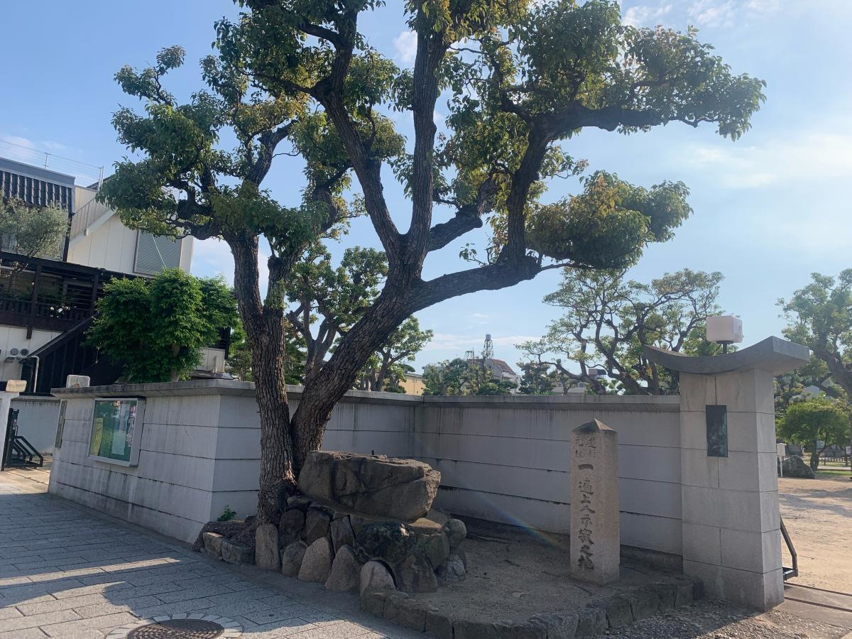 真光寺②