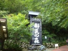 檜原都民の森