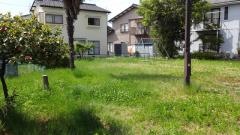 東ふたば台緑地
