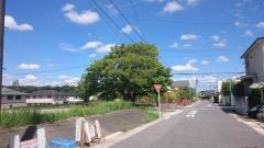 平和が丘緑地