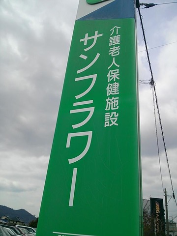 サンフラワー