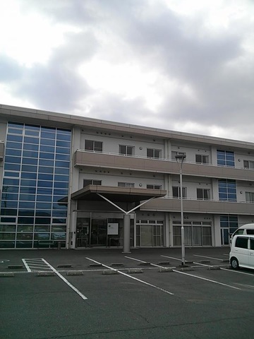 サンフラワー