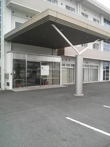 サンフラワー