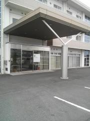 サンフラワー