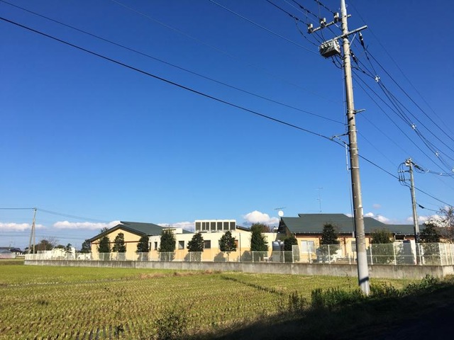 桜づつみ