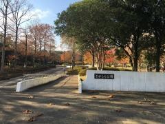 戸頭公園