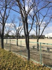 森曽公園