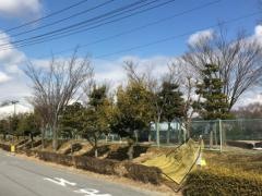 森曽公園