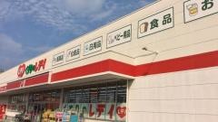 レデイ薬局鳥生店
