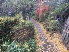 アラスカ
