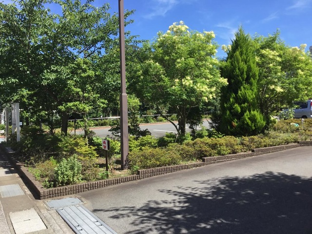サニーヒル横浜 ガーデニング