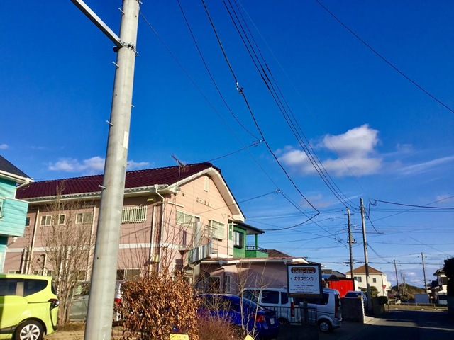 有限会社カサブランカ