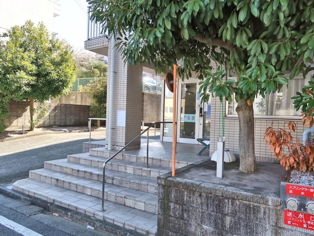入口