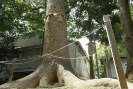 熊野神社