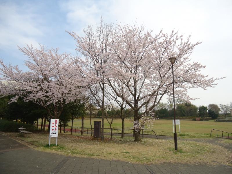 滝野公園