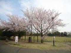 滝野公園