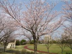 滝野公園