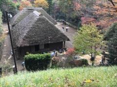 生田緑地