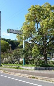 朝日公園