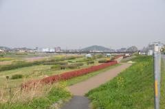 石川河川公園