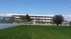 西庄小学校