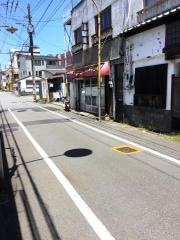 雅鳳