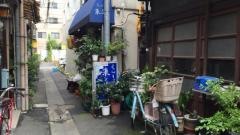 来る実