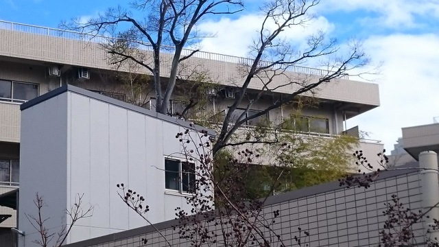 永楽