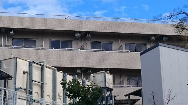 永楽 雰囲気