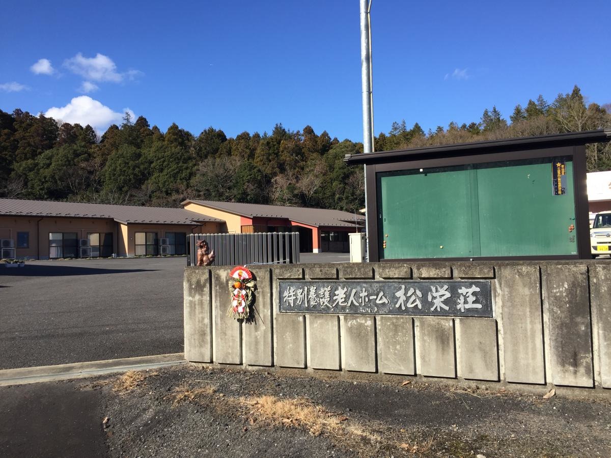 松栄堂 ときわの木 くらい