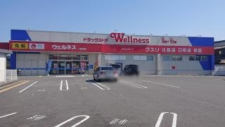 ドラッグストアウェルネス　上福原店