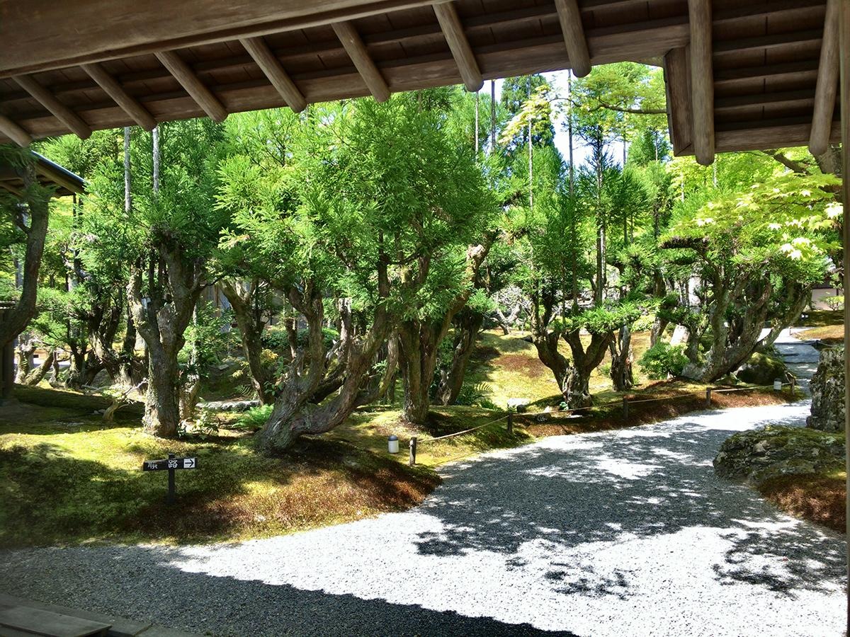 入口から見た庭園の様子