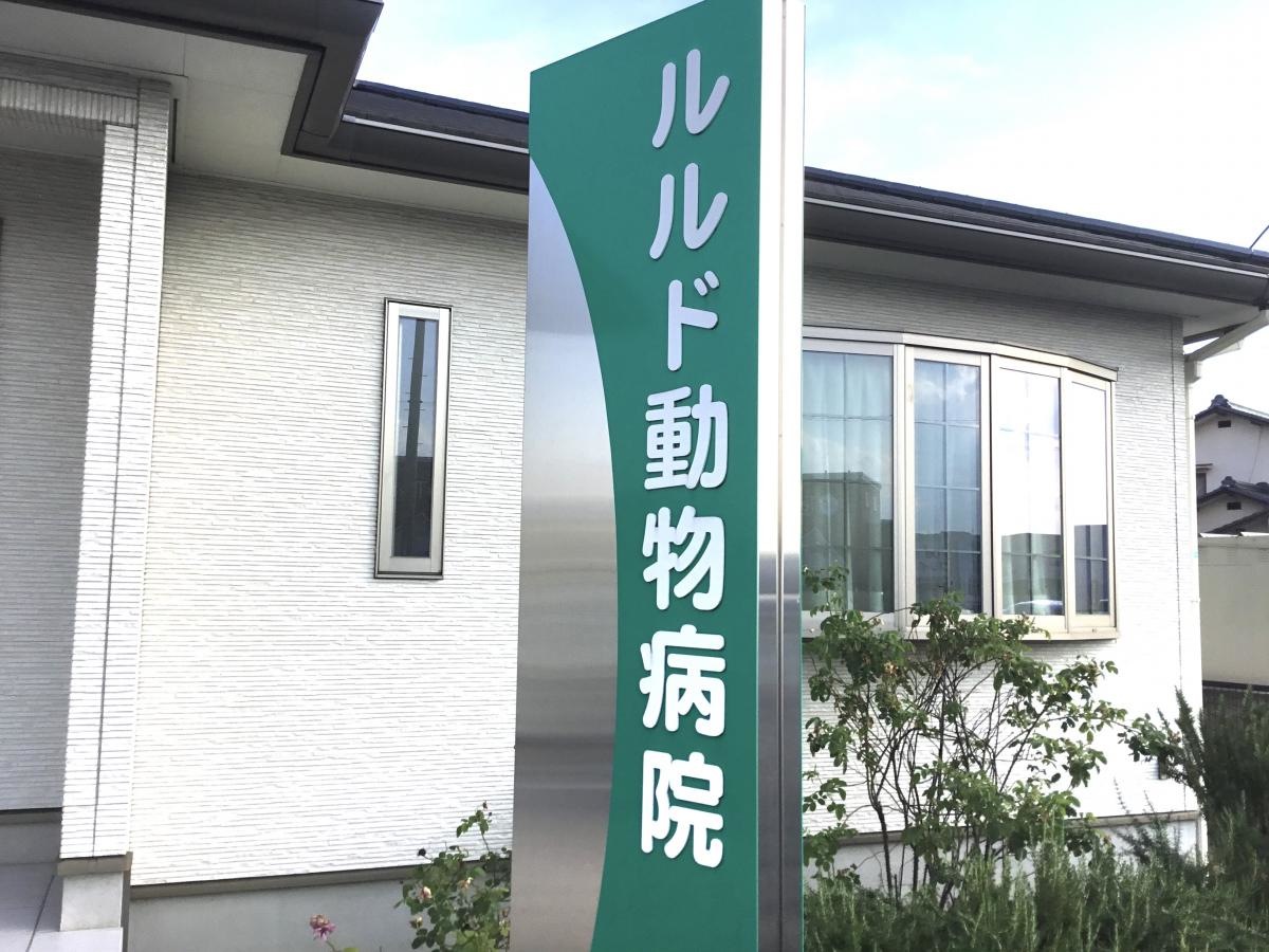 ルルド動物病院
