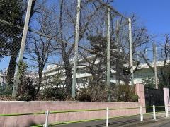 青南小学校
