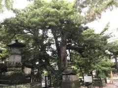 金蓮院