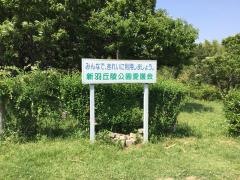 新羽丘陵公園