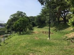 新羽丘陵公園