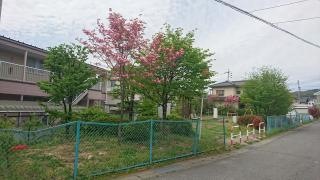 松岡南緑地