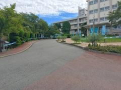 至学館大学